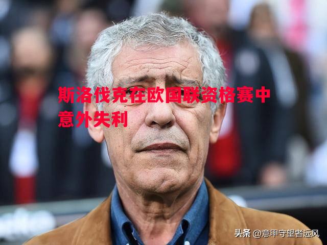 vsports体育-斯洛伐克在欧国联资格赛中意外失利